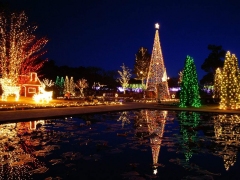 Verlichte kerstboom aan het water