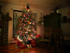 Mooi versierde kerstboom