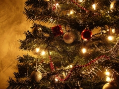 Kerstverlichting in een boom