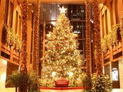 Grote verlichte kerstboom binnen
