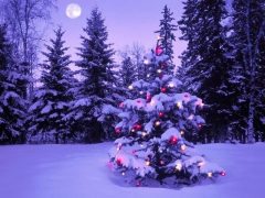 Kerstboom met kleurde kerstlichtjes in de sneeuw