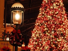 Verlichte kerstboom met straatlantaarn